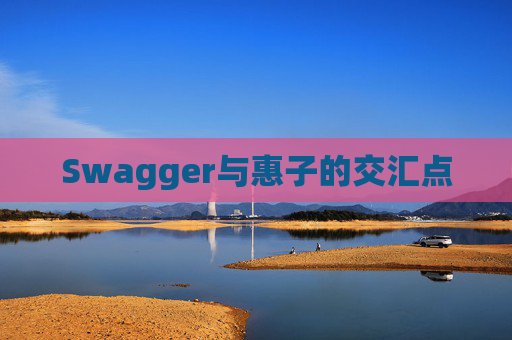 Swagger与惠子的交汇点